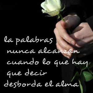 Meet your Posher, Margarita